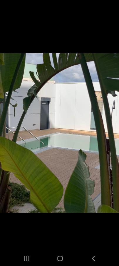 Cordoba Luxury Home Eksteriør bilde